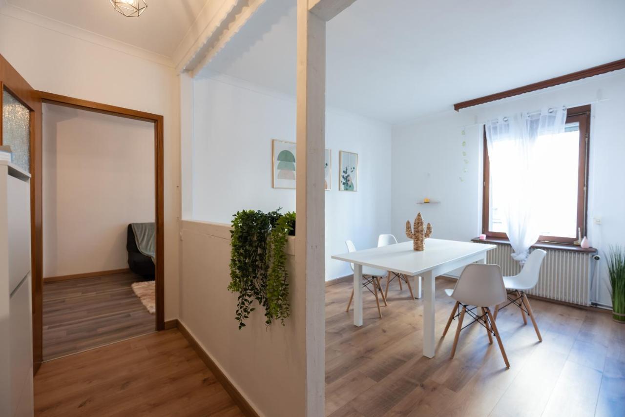 Appartement Cosy De 80 M2 Мюлуз Экстерьер фото